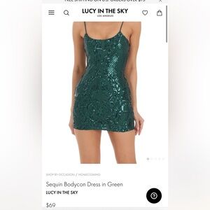 Sequin Bodycon Dress in Green